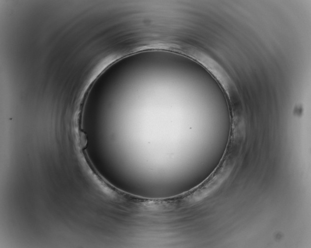 X0000102790906200808181257