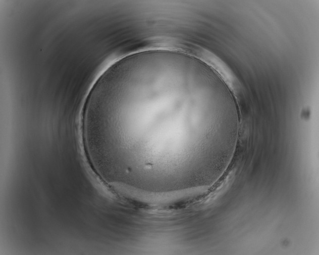X0000102790907200808181257