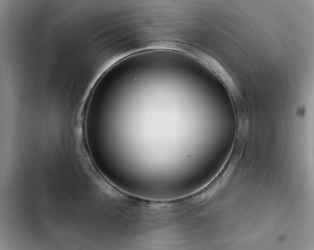 X0000102790908200808181257