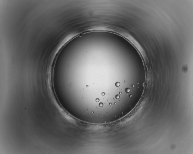 X0000102790909200808181257