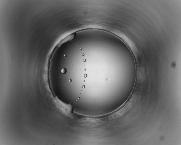X0000102790910200808181257