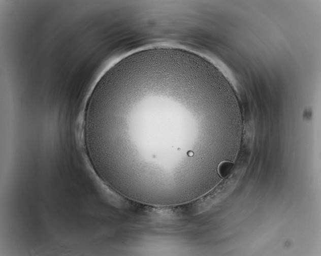 X0000102790911200808181257