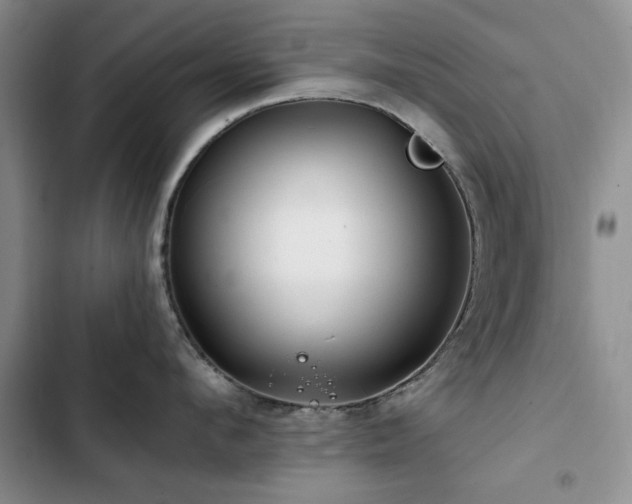 X0000102790912200808181257