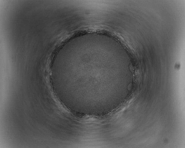 X0000102790913200808181256