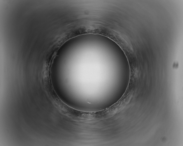 X0000102790914200808181256