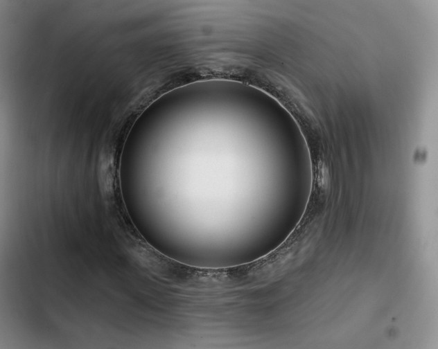 X0000102790915200808181256