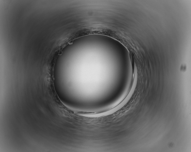 X0000102790916200808181256