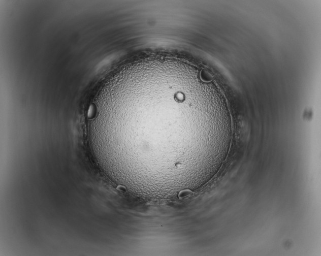 X0000102790918200808181256