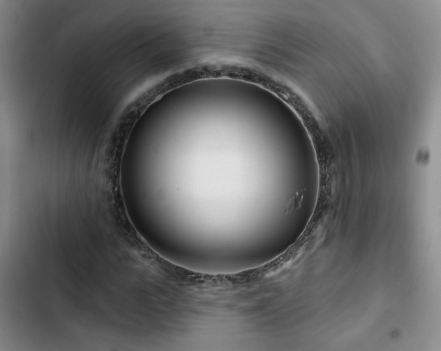X0000102790919200808181256