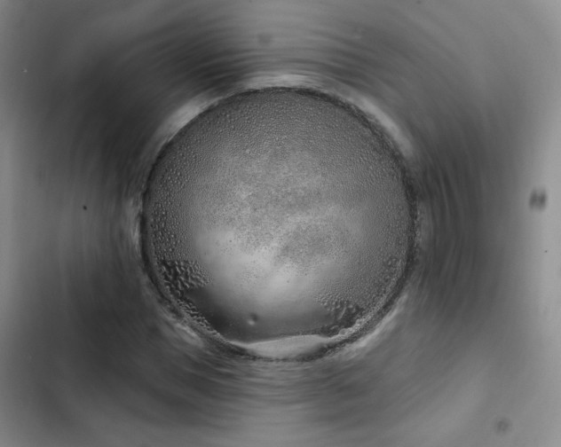 X0000102790921200808181256