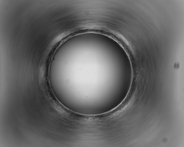 X0000102790922200808181256