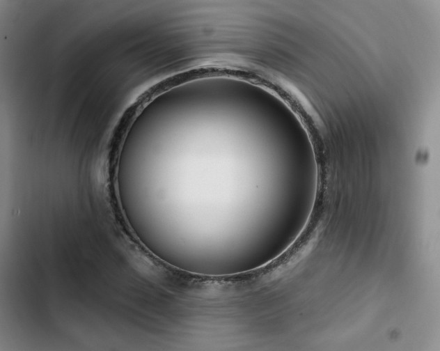 X0000102790923200808181256