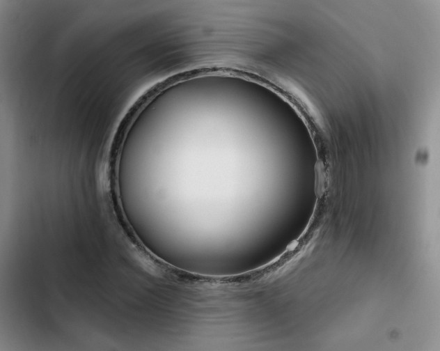 X0000102790924200808181256