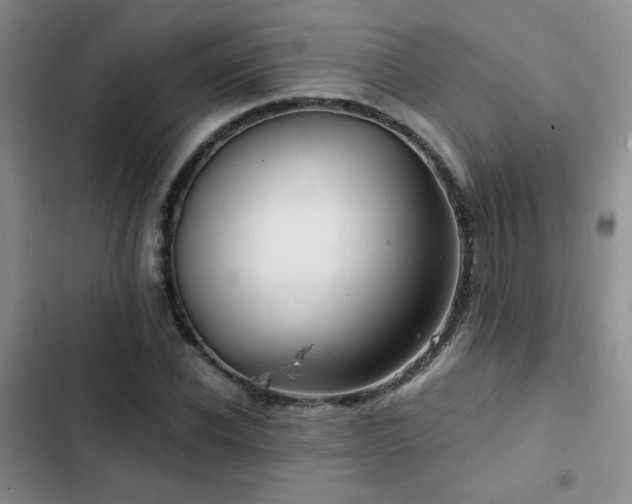X0000102790926200808181256