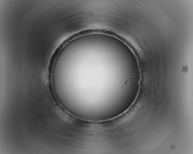 X0000102790927200808181256