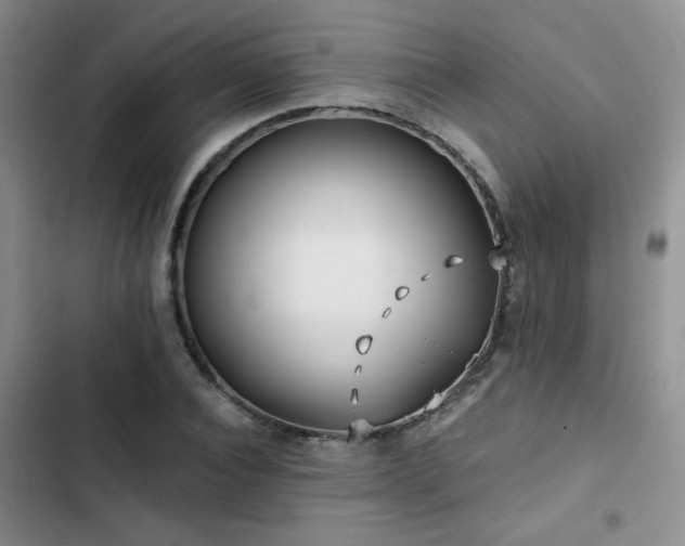 X0000102790928200808181256