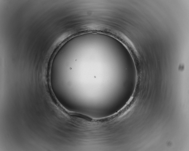 X0000102790930200808181256