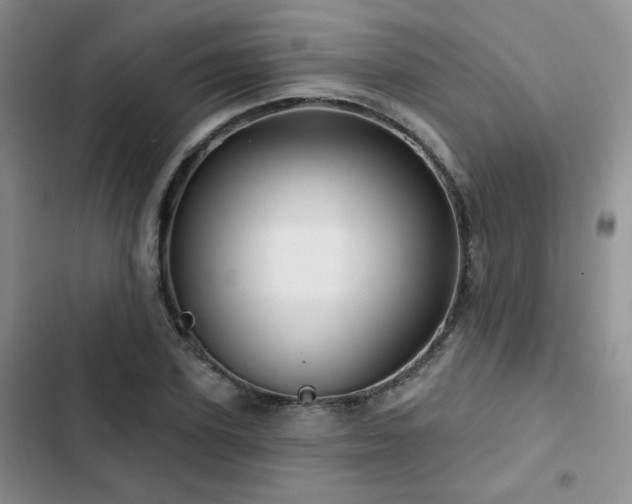 X0000102790931200808181256
