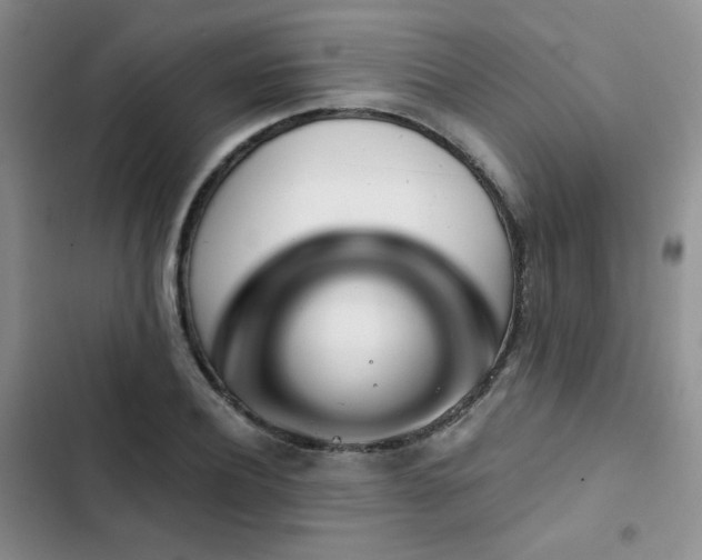 X0000102790932200808181256