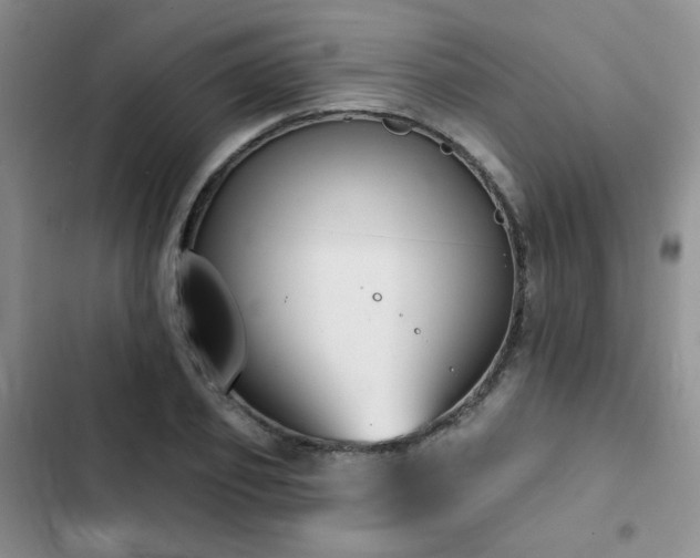 X0000102790933200808181256