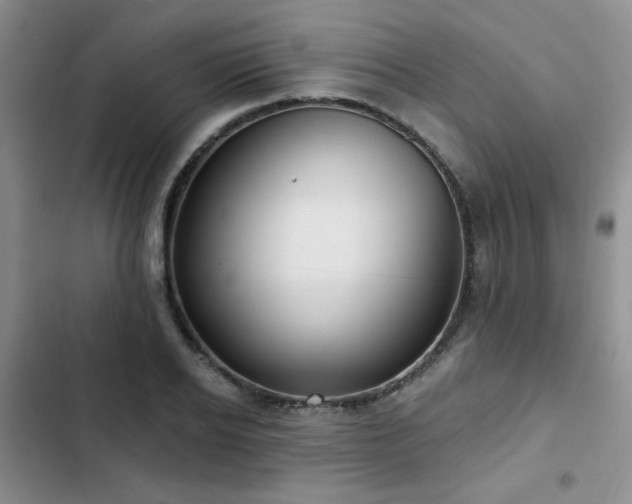 X0000102790934200808181256