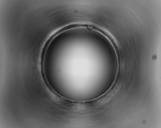 X0000102790935200808181256