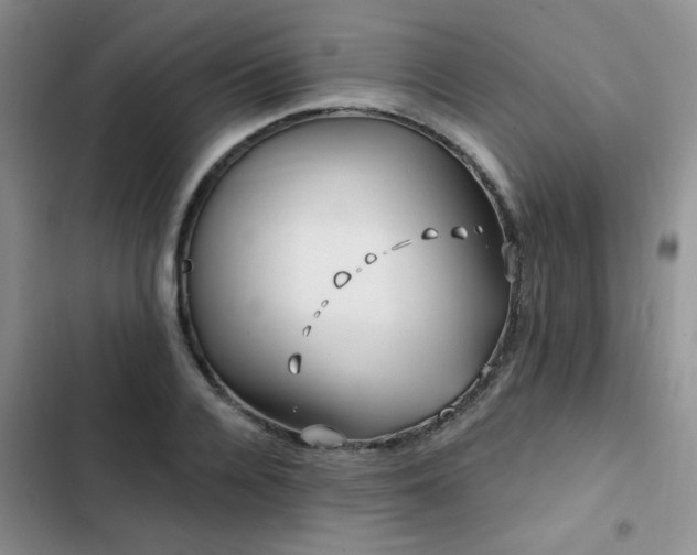X0000102790936200808181256
