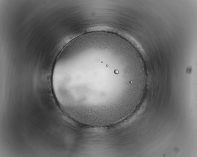 X0000102790937200808181256
