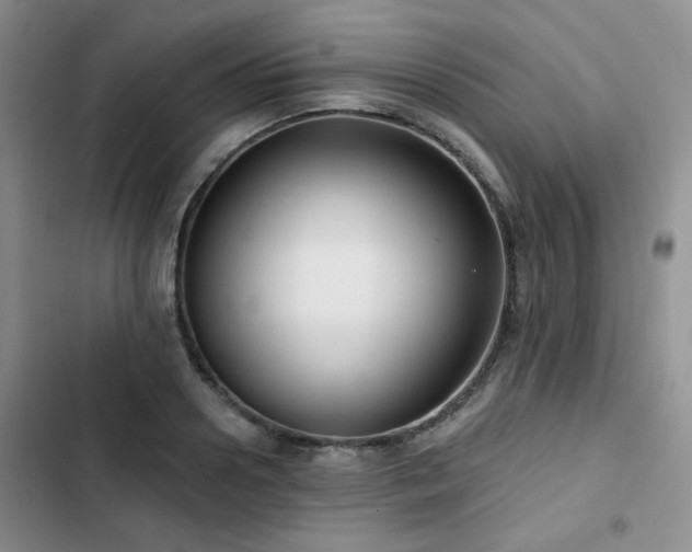 X0000102790938200808181256