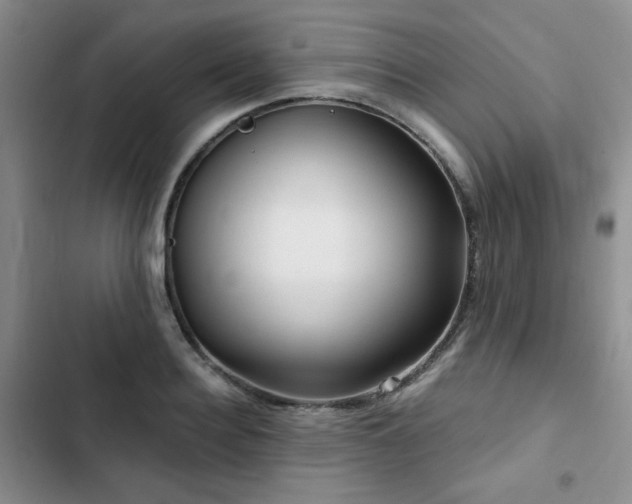 X0000102790940200808181256