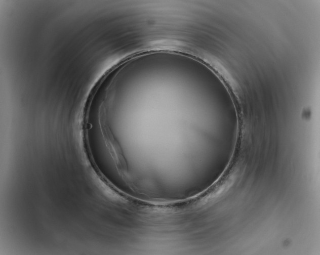 X0000102790941200808181256