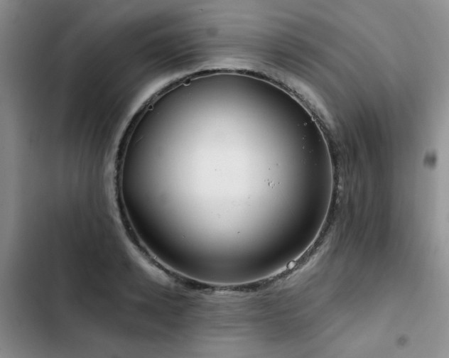 X0000102790942200808181256