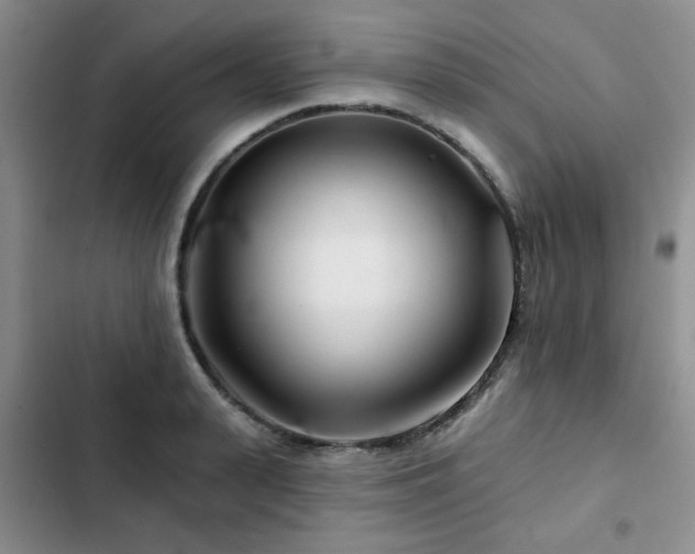 X0000102790943200808181256