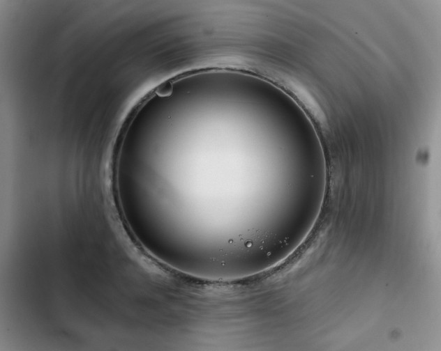 X0000102790944200808181256