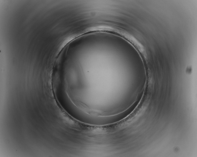 X0000102790945200808181256