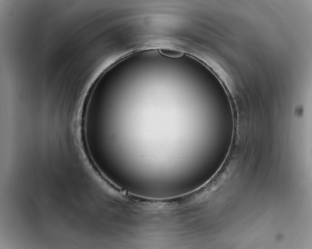 X0000102790949200808181256