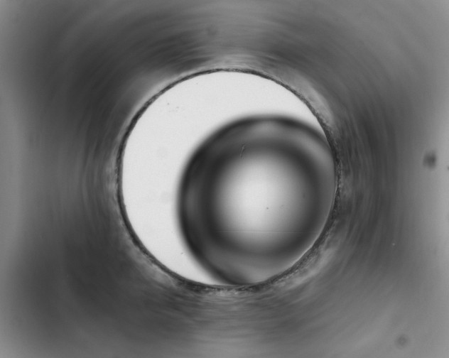 X0000102790950200808181256
