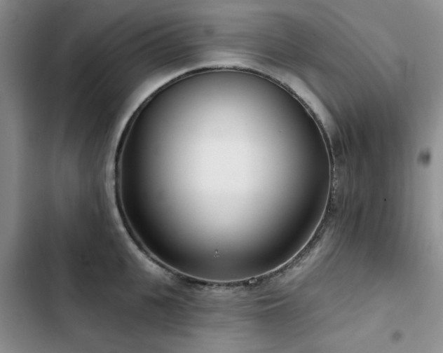 X0000102790951200808181256