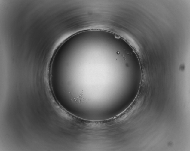 X0000102790952200808181256