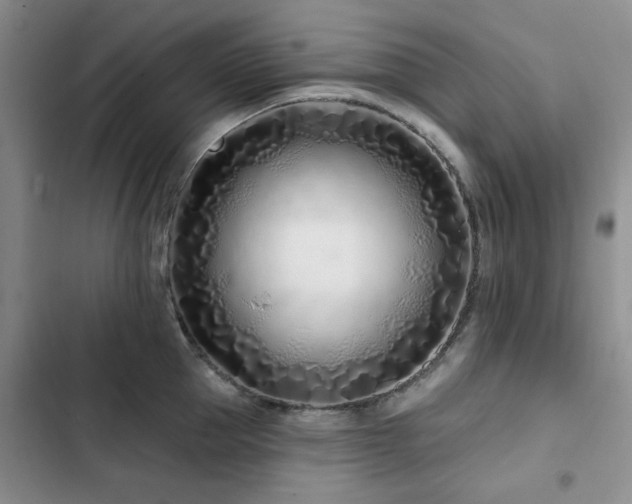 X0000102790953200808181256