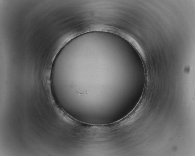 X0000102790954200808181257