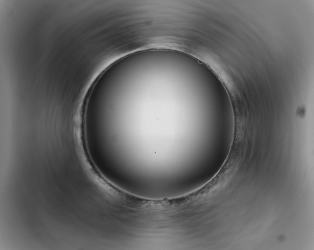 X0000102790955200808181257