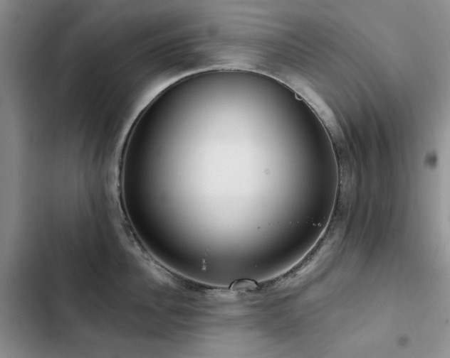 X0000102790956200808181257