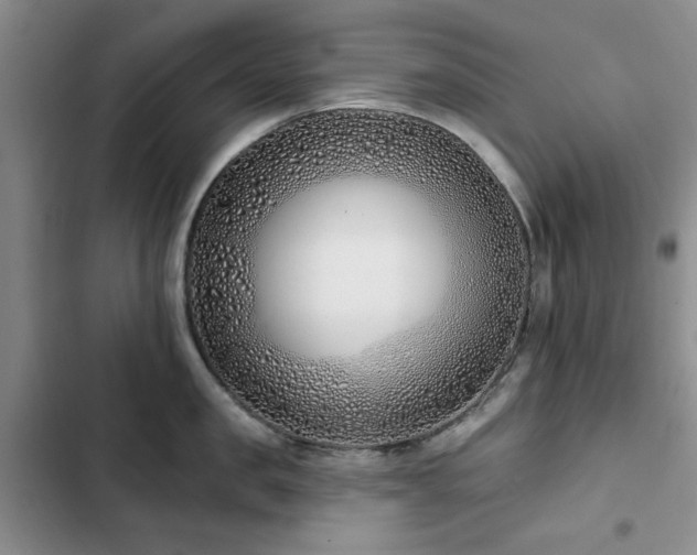 X0000102790957200808181257