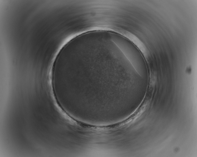 X0000102790958200808181257