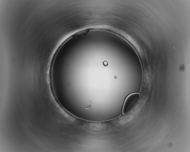 X0000102790959200808181257