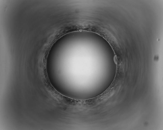 X0000102790961200808181256