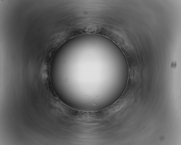 X0000102790962200808181256