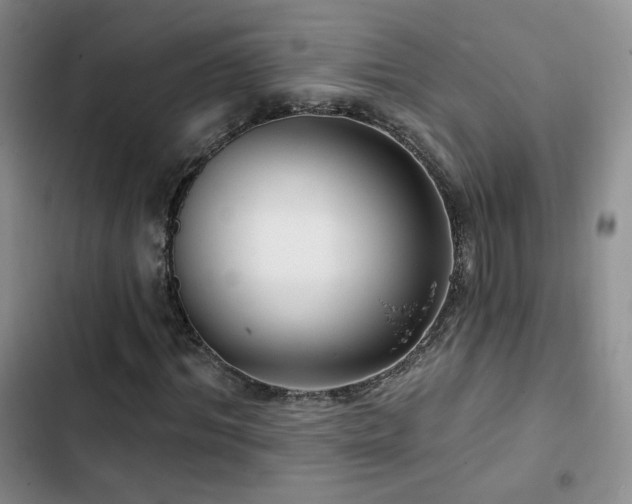 X0000102790964200808181256