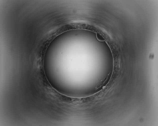 X0000102790965200808181256